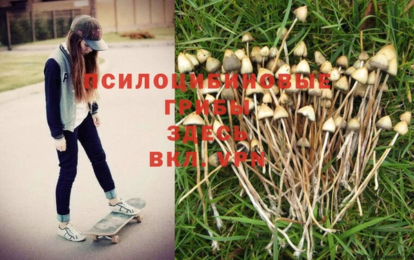 spice Абаза