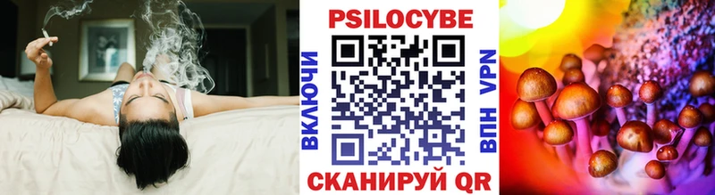 Галлюциногенные грибы Psilocybine cubensis  купить наркоту  даркнет как зайти  Чулым 